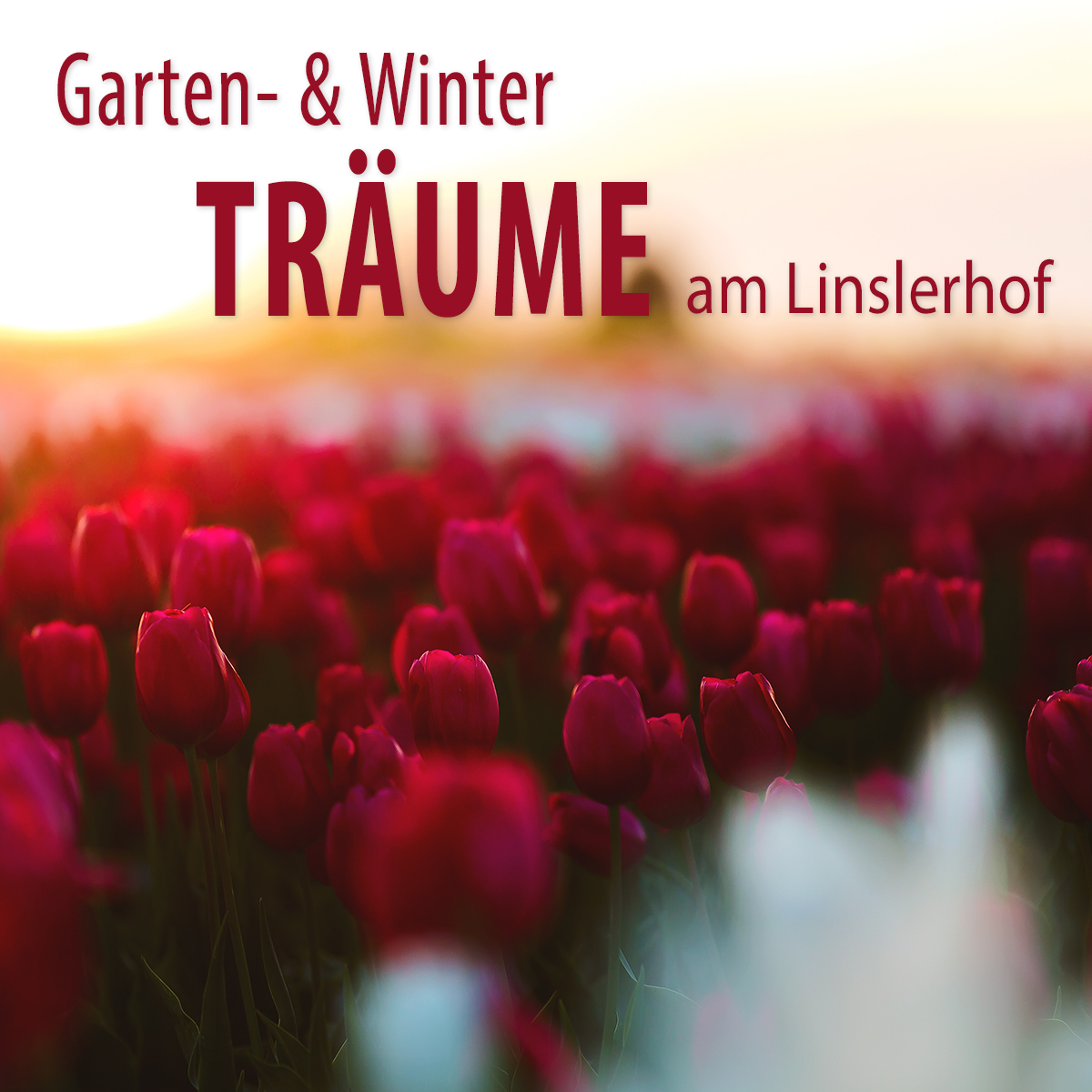 Garten- und Winterträume