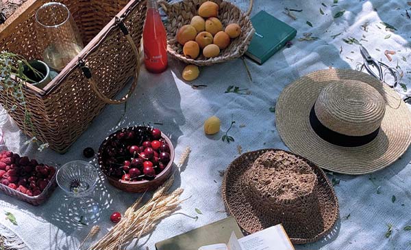 Sommerpicknik, Kirchen & Aprikosen